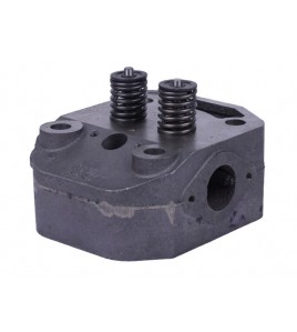 Головка цилиндра в сборе ZUBR (на мототрактор под форсунку диаметр 21 мм) - 195N YBX