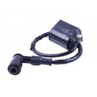 Катушка зажигания + надсвечник - AD50/sepia