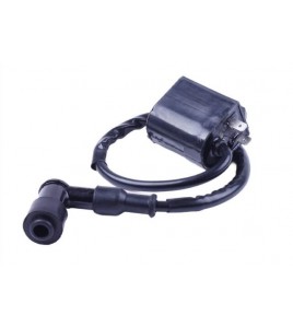 Катушка зажигания + надсвечник - AD50/sepia Катушка зажигания + надсвечник - AD50/sepia