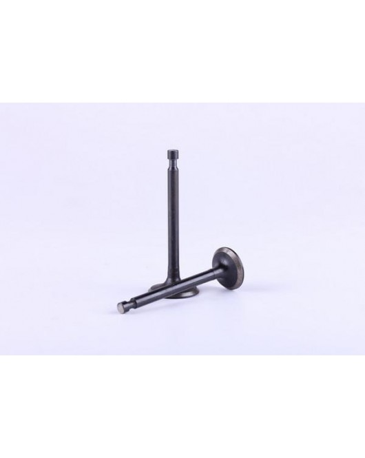 Клапаны, к-т: 2 шт. - 177F - Premium