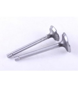 Клапаны, к-т: 2 шт. - 178F - Premium