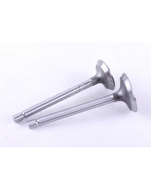 Клапаны, к-т: 2 шт. - 178F - Premium