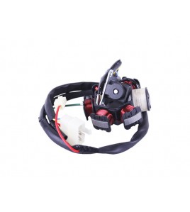 Якорь генератора (5+1) - Dio 18/27/Takt 24