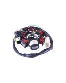 Якорь генератора (5+1) - Dio 18/27/Takt 24