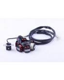 Якорь генератора (6 катушек) - Lead 90