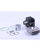 Поршневая (ЦПГ) с головкой 47 мм, к-т: 10 единиц - 80СС - Dio 27