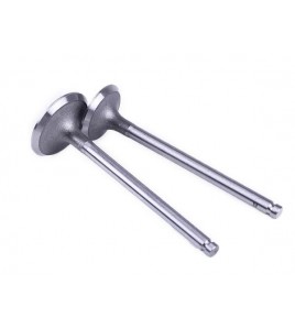 Клапаны, L-120 мм, к-т: 2 шт. - Zubr - 195N - Premium