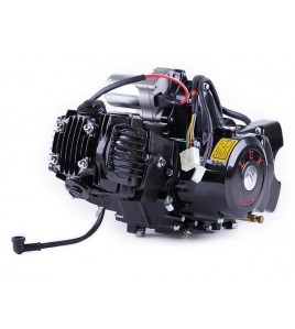 Двигатель 110CC - Дельта/Альфа/Актив, механика + эл.стартер + карбюратор, BLACK - TATA LUX