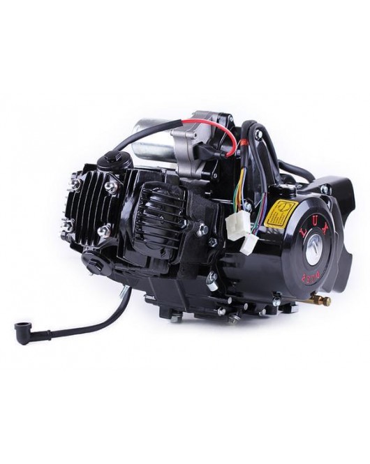Двигатель 110CC - Дельта/Альфа/Актив, механика + эл.стартер + карбюратор, BLACK - TATA LUX