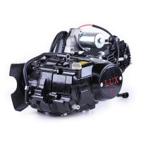 Двигатель 110CC - Дельта/Альфа/Актив, механика + эл.стартер + карбюратор, BLACK - TATA LUX