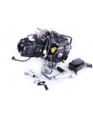 Двигатель 110CC - Дельта/Альфа/Актив, механика + эл.стартер + карбюратор, BLACK - TATA LUX