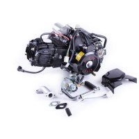 Двигатель 110CC - Дельта/Альфа/Актив, механика + эл.стартер + карбюратор, BLACK - TATA LUX