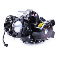 Двигатель 110CC - Дельта/Альфа/Актив, механика + эл.стартер + карбюратор - алюминиевая ЦПГ, BLACK - TATA LUX