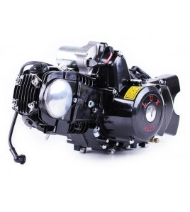 Двигатель 110CC - Дельта/Альфа/Актив, механика + эл.стартер + карбюратор - алюминиевая ЦПГ, BLACK - TATA LUX