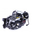 Двигатель 110CC - Дельта/Альфа/Актив, механика + эл.стартер + карбюратор - алюминиевая ЦПГ, BLACK - TATA LUX