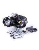 Двигатель 110CC - Дельта/Альфа/Актив, механика + эл.стартер + карбюратор - алюминиевая ЦПГ, BLACK - TATA LUX