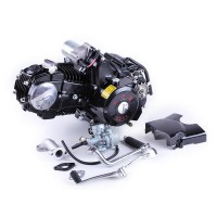Двигатель 110CC - Дельта/Альфа/Актив, механика + эл.стартер + карбюратор - алюминиевая ЦПГ, BLACK - TATA LUX