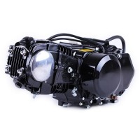 Двигатель 110CC - Дельта/Альфа/Актив, механика + карбюратор - без электростартера, BLACK - TATA LUX