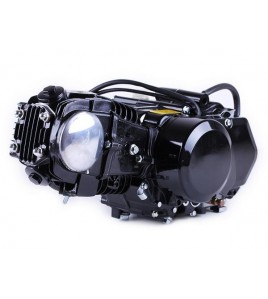 Двигатель 110CC - Дельта/Альфа/Актив, механика + карбюратор - без электростартера, BLACK - TATA LUX