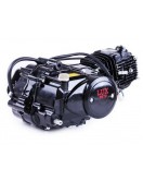 Двигатель 110CC - Дельта/Альфа/Актив, механика + карбюратор - без электростартера, BLACK - TATA LUX