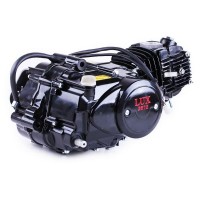 Двигатель 110CC - Дельта/Альфа/Актив, механика + карбюратор - без электростартера, BLACK - TATA LUX