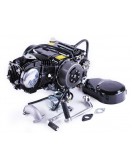 Двигатель 110CC - Дельта/Альфа/Актив, механика + карбюратор - без электростартера, BLACK - TATA LUX
