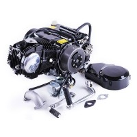 Двигатель 110CC - Дельта/Альфа/Актив, механика + карбюратор - без электростартера, BLACK - TATA LUX