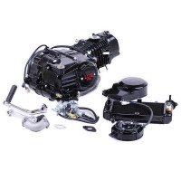 Двигатель 125CC - Дельта/Альфа/Актив водяное охл., без электростартера, BLACK - TATA LUX