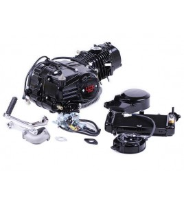 Двигатель 125CC - Дельта/Альфа/Актив + радиатор + вентилятор, водяное охл., без электростартера, BLACK - TATA LUX