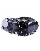 Двигатель 125CC - Дельта/Альфа/Актив водяное охл., без электростартера, BLACK - TATA LUX