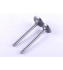Клапаны, к-т: 2 шт. - 186F - Premium
