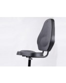 Электросамокат с сиденьем (сиденье - спинка) (белый) T06-1 36V350W 12AH - SM