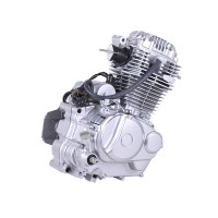 Двигатель (165FMJ) - CB250 с воздушным охлаждением