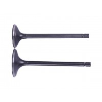 Клапана СG250