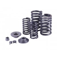 Клапанный механизм СG250