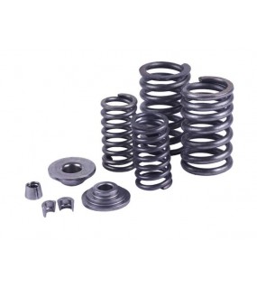 Клапанный механизм СG250