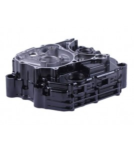 Картер левый CG300