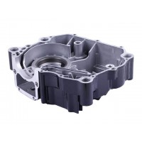 Картер левый CG300