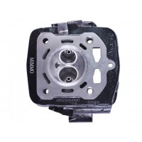 Головка цилиндра CG300