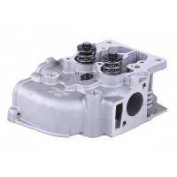 Головка блока в сборе - 188D YBX