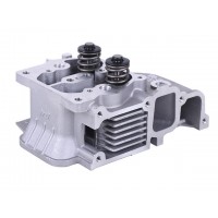 Головка блока в сборе - 188D YBX