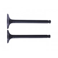 Клапаны диаметр 20/23 мм, к-т: 2 шт.- Дельта/Альфа YBX