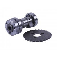 Распредвал + звезда - Актив/Дельта/Альфа YBX