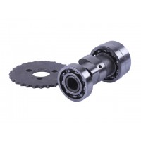 Распредвал + звезда - Актив/Дельта/Альфа YBX