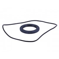 Сальник + уплотнитель пластины сцепления - Дельта/Альфа YBX