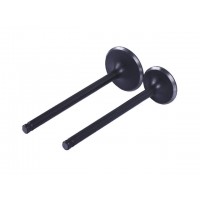 Клапаны, к-т 2 шт. - CB-125 YBX