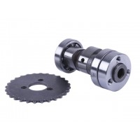 Распредвал + звезда - Дельта/Альфа YBX