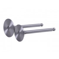 Клапаны, к-т: 2 шт. - 192D YBX