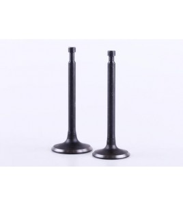 Клапаны, к-т: 2 шт. - 188F - Premium