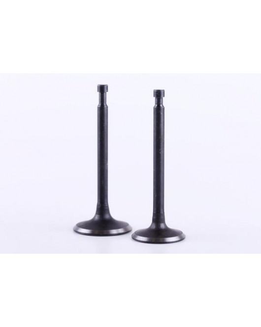 Клапаны, к-т: 2 шт. - 188F - Premium